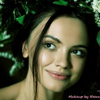 Портфолио Neeraj S Navare